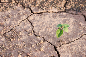 Create Your Best Climate Change Essay