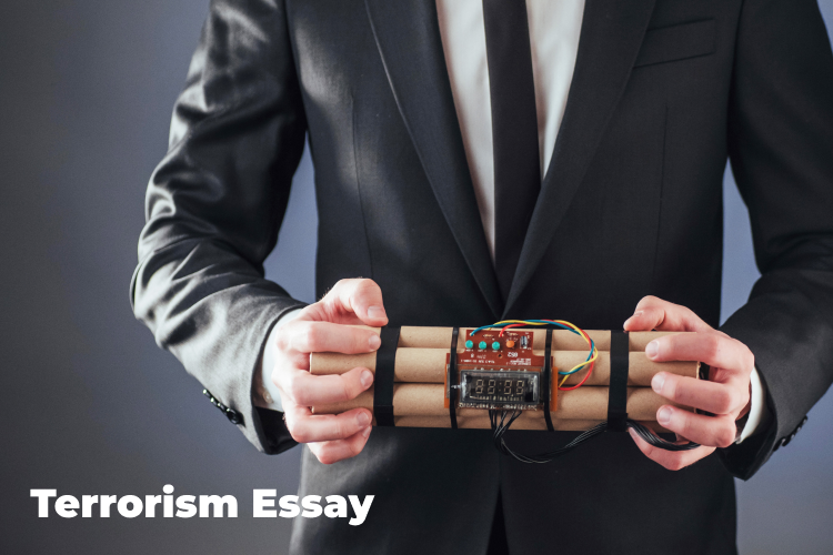 essay on domestic terrorism