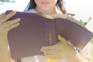 Accredited Online Universities in the UK You Should Consider