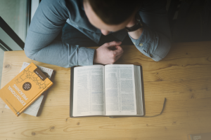 Frankenstein Essay Topics And The Plot Of The Book